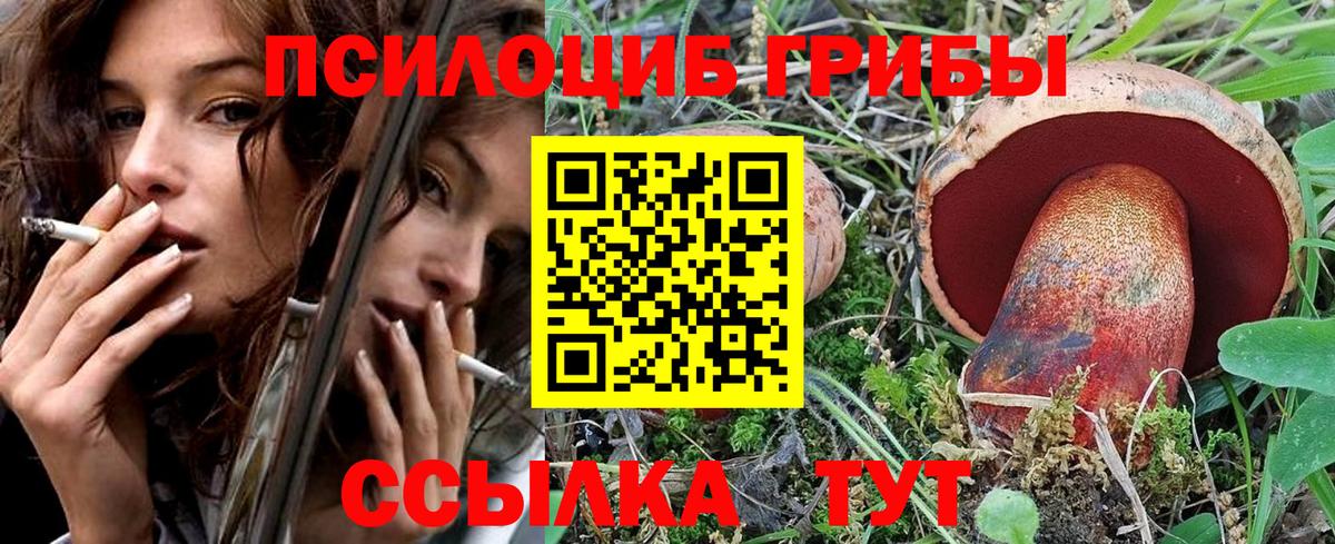 Галлюциногенные грибы прущие грибы  Вход с VPN  Галлюциногенные грибы Magic Shrooms  Заводоуковск 
