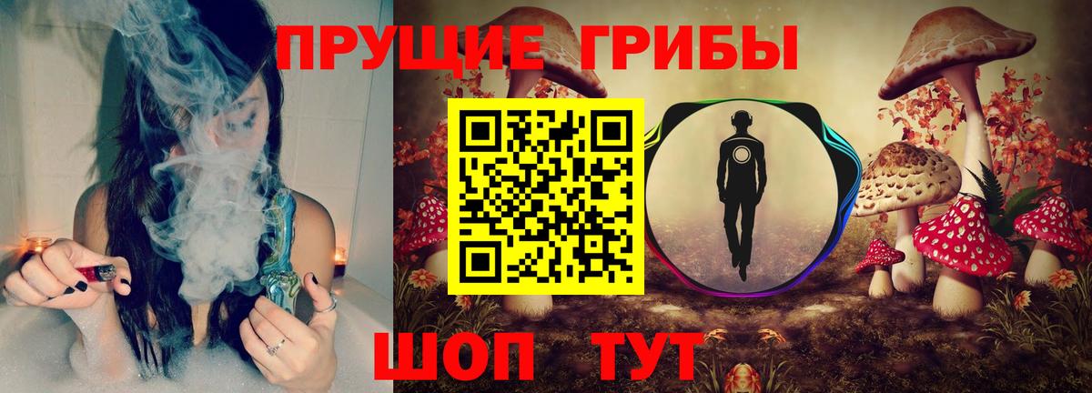 A PVP Заводоуковск